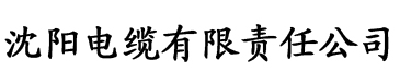 国产一级爱做c片电缆厂logo